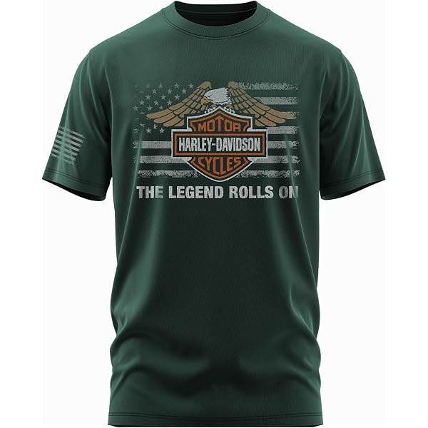 Harley-Davidson Men's Distressed Shady Skull Short Sleeve T-Shirt